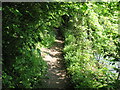 NY3953 : Path beside the River Caldew by Adrian Taylor