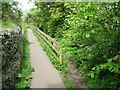 NY3953 : The Caldew Cycleway and The Cumbria Way by Adrian Taylor