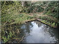 TQ3077 : Pond in Harleyford Road Community Garden by Marathon