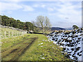 NY9149 : Grassy road passing pile of rubble by Trevor Littlewood