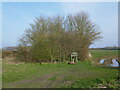 SK8849 : Large bird feeder at the end of a narrow plantation by Jonathan Thacker