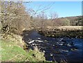 NZ0851 : Looking across the river to Howden Wood by Robert Graham