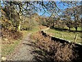 SD3199 : Path near High Yewdale by Adrian Taylor