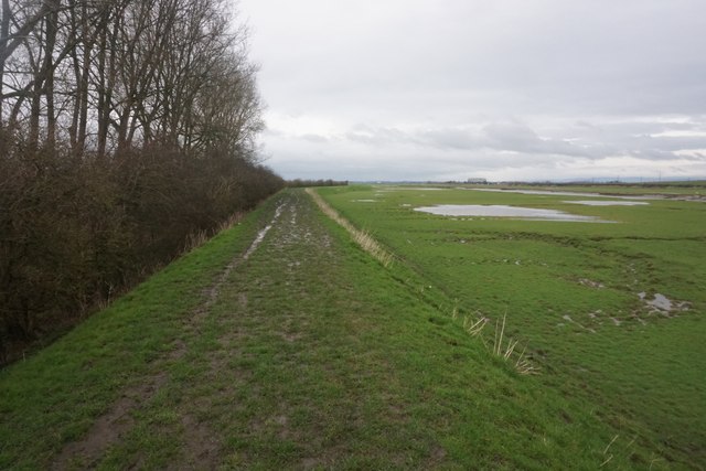 Floodbank above Becconsall Out Marsh