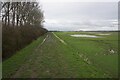 SD4523 : Floodbank above Becconsall Out Marsh by Bill Boaden