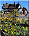 TA0439 : Beverley flower bed by Paul Harrop