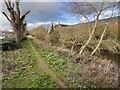 SJ9123 : Public footpath alongside the River Sow opposite Sainsbury's by Jonathan Hutchins