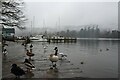 SD3996 : Windermere lakeside at Bowness-on-Windermere by Graham Robson