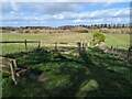 SJ5505 : Path at Venus Pools Nature Reserve by TCExplorer