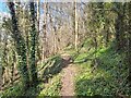 SK2169 : Footpath through Worm Wood by Ian Calderwood