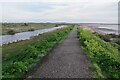 TM0714 : Mersea is an Island #2: Footpath 14 by Glyn Baker