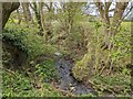 SJ5500 : Tributary of Bullhill Brook by TCExplorer