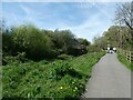 SX8574 : Walkers near Locks Bridge over former Stover Canal by David Smith