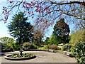 ST3087 : Spring colours, Belle Vue Park, Newport (5) by Robin Drayton