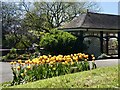 ST3087 : Spring colours, Belle Vue Park, Newport (10) by Robin Drayton