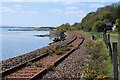 NS9885 : Gorse on the line by Richard Sutcliffe