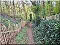 SK4517 : Footpath through the woods in the Black Brook valley by Ian Calderwood