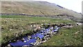 SD9192 : Cogill Beck viewed west from SE of Cogill Closes by Luke Shaw