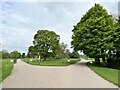 SJ9921 : Tracks in Shugborough Park by Andrew Abbott