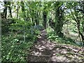 SK2860 : Footpath along a former railway line at Cawdor Quarry by Ian Calderwood