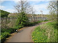 NY3751 : The Cumbria Way near Lowmill by Adrian Taylor