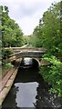 SE2634 : SE view along Leeds & Liverpool Canal over Redcote Bridge by Luke Shaw