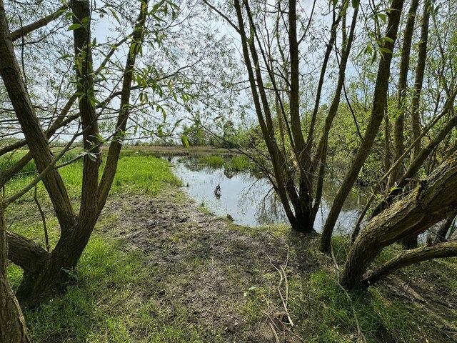 A small Pond