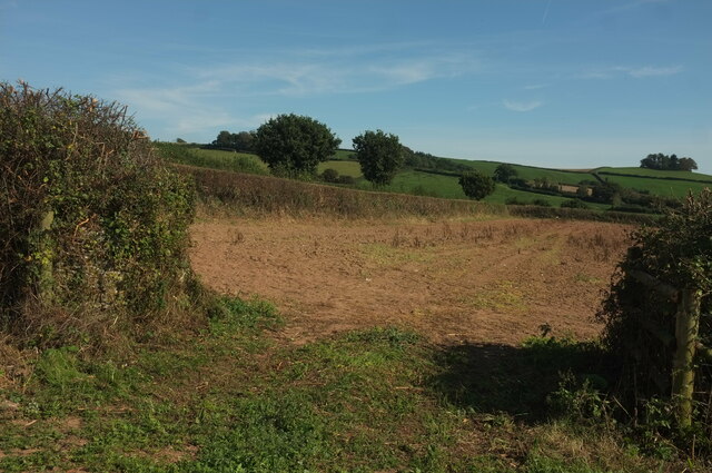 Gateway in hedge near Berry Pomeroy