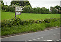 H9655 : Road sign near Scotch Street by Rossographer