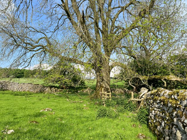 Field corner near Henridding