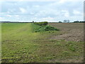 SE8835 : Truncated field boundary, near Cliffe Dales Farm by Christine Johnstone