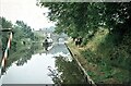 SJ8120 : Horse-drawn narrow boat at Gnosall, Shropshire Union Canal, 1969 by Martin Tester