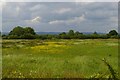 SJ3527 : Looking towards the Montgomery Canal, west of Rednal by Christopher Hilton