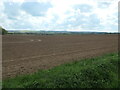 SE8836 : Bare field, south of Tindal Moor by Christine Johnstone