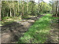 SE8836 : Muddy footpath and track, Gardam Moor by Christine Johnstone