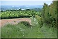 TL3338 : Walking over the downs towards Thrift Farm by David Martin