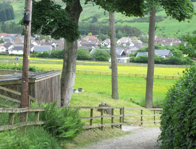 A colourful field, Cardrona