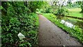 SE1739 : Looking NE along Leeds & Liverpool Canal at a point 116½ miles from Liverpool by Roger Templeman