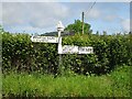 ST0931 : Fingerpost, Brompton Ralph by Mr Red