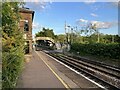 TG3207 : Brundall Station by Adrian Taylor