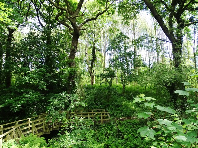 Footbridge in Spring Gill Wood