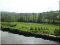 SJ9065 : Trees on the River Dane's north bank by Christine Johnstone