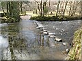 NY2514 : Stepping stones, Rosthwaite by Adrian Taylor