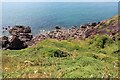 SS0197 : Stony shore, Trewent Peninsula by M J Roscoe