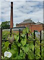 SK5806 : The Abbey Pumping Station in Belgrave, Leicester by Mat Fascione