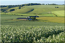  : Farmland, Aldbourne by Andrew Smith