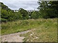 SJ2742 : Pontcysyllte Aqueduct from a bank of the River Dee by TCExplorer