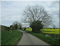 SE2392 : Hollow  Moor  Lane  through  arable  farmland by Martin Dawes