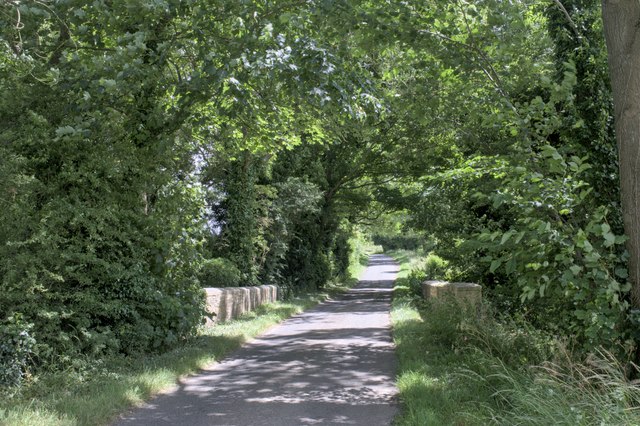 Bridge across the River Witham