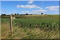 SE4734 : Footpath heading off Coldhill Lane by Chris Heaton